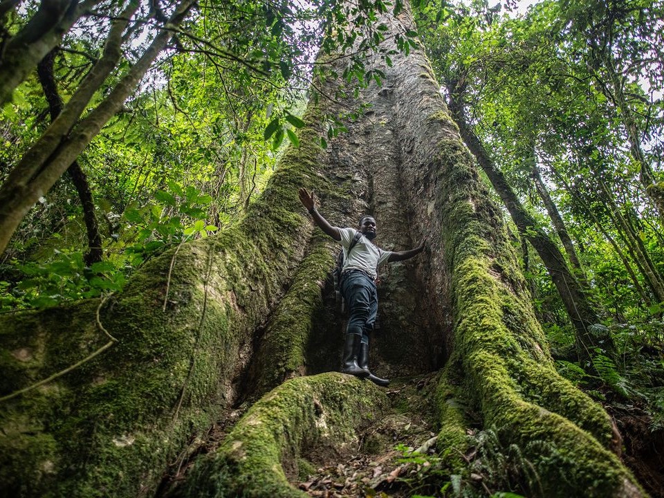 5-Day Nyungwe National Park and Kigali City Tour