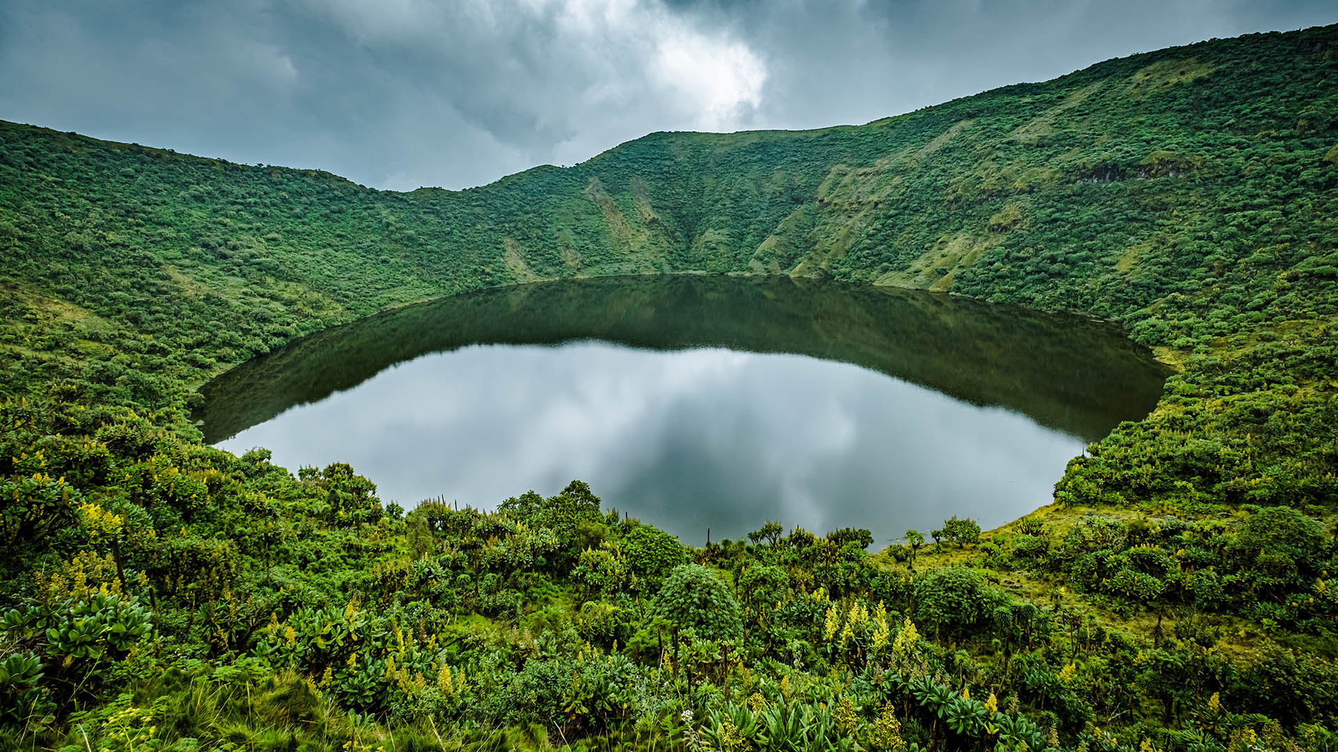 1-Day Bisoke Hiking Tour